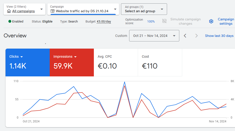 Google Ads — Search Traffic screenshot